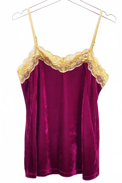Aratta Women's Velvet Lace Trim Cami Top In Scarlet In Pink