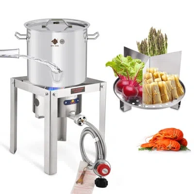 Arc 20qt Stainless Steel Steamer Pot Set, 55,000btu Portable Propane Burner For Seafood Crab,vegetable,v