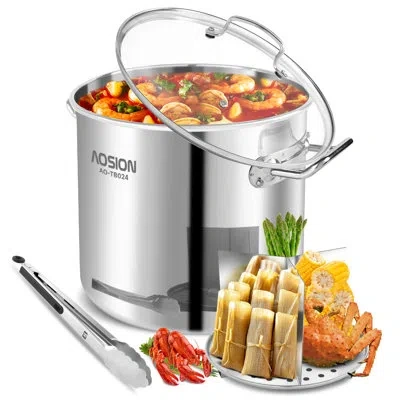 Arc 24 Quarts Stainless Steel Stock Pot In Silver