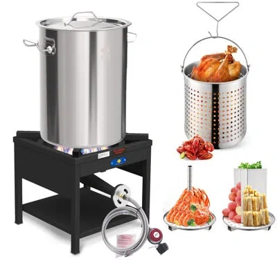 Arc 32qt Stainless Steel Pot With 200,000 Btu Propane Burner - Seafood Boil Pot, Crab Boil Pot, Lobster 
