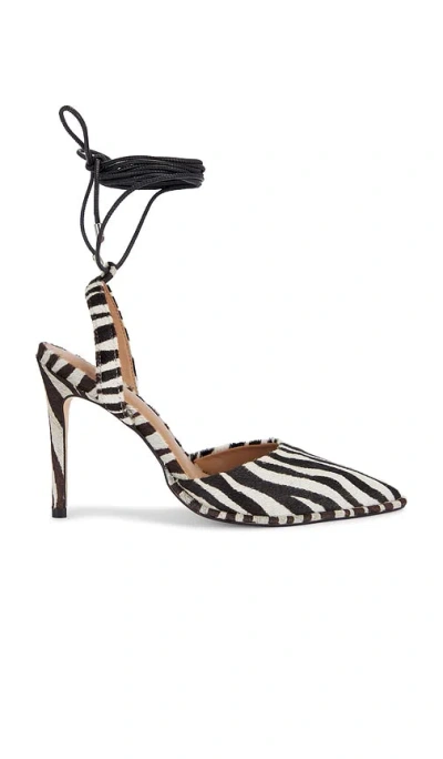 Arch Nyc A-line Lace Up Heel In Zebra