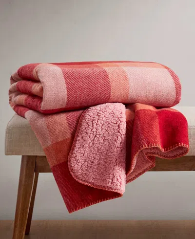 Arch Studio Sherpa Backed Plaid Ultra-soft Throw, 50" X 60", Macy's Exclusive In Berry Pink