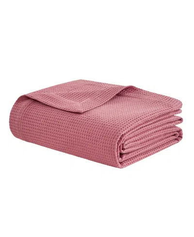 Arch Studio Waffle Cotton Blanket, Twin, Exclusively At Macy's In Raspberry