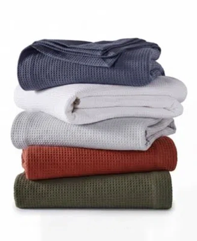 Arch Studio Waffle Cotton Blankets Exclusively At Macys In White