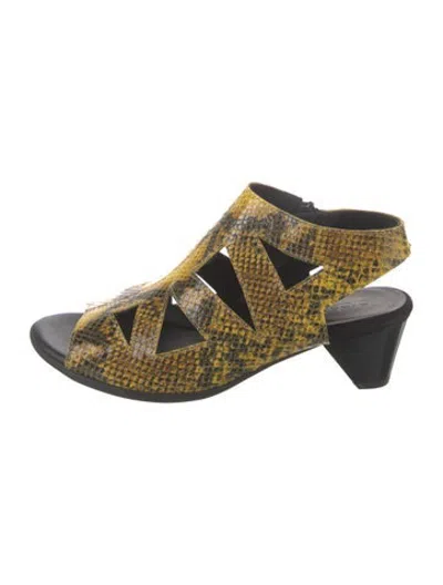 Pre-owned Arche Embossed Leather Animal Print Sandals In Gold