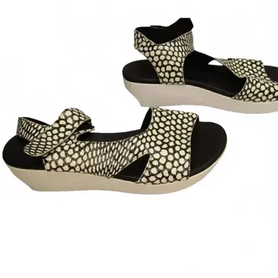 Arche Women's Soqeto Wedge Ankle Strap Sandals In White, Black In Multi