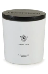 Archipelago Botanicals Luxe Candle In Hamptons