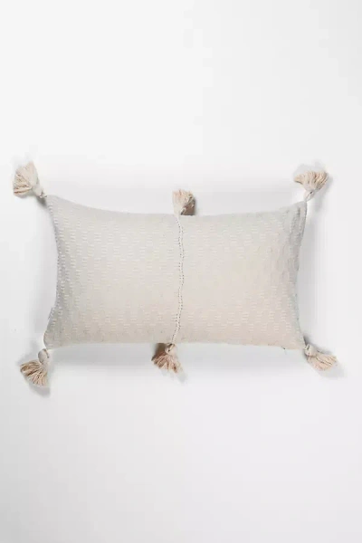 Archive New York Solid Antigua Pillow In Gray