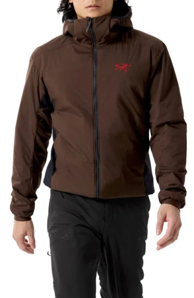 Arc'teryx Atom Hoodie In Brown