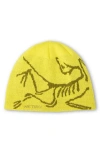 Arc'teryx Bird Head Merino Wool Blend Beanie In Yellow