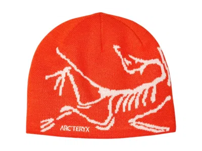 Pre-owned Arc'teryx Bird Head Toque Beanie In Dynasty/arc Silk