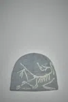 Arc'teryx Bird Head Toque In Gray