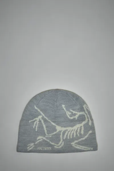 Arc'teryx Bird Head Toque In Gray