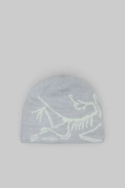 Arc'teryx Bird Head Torque In Gray