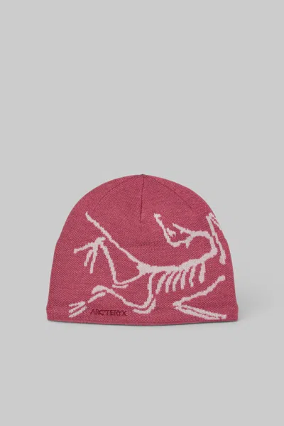 Arc'teryx Bird Head Torque In Pink & Purple
