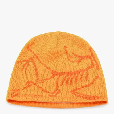 Arc'teryx Cappelli Blaze/copper Sky In Orange