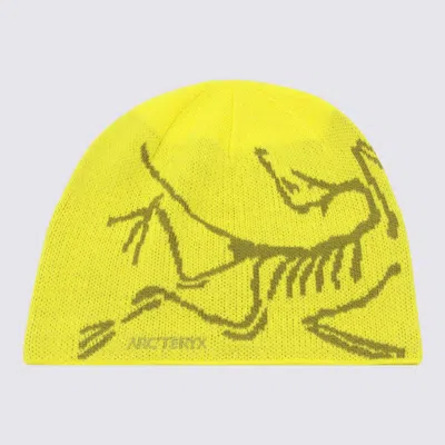 Arc'teryx Cappelli Euphoria/olive Moss