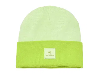 Arc'teryx Color Block Toque Traditional Hats Shincha/mantis: One Size In Green