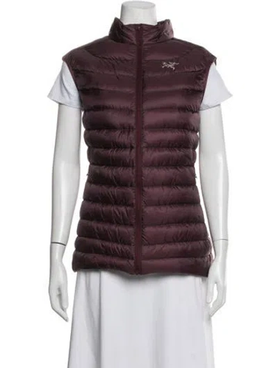 Pre-owned Arc'teryx Down Jacket In Burgundy