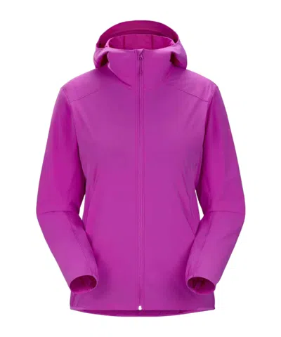 Arc'teryx Gamma Jacket In Purple