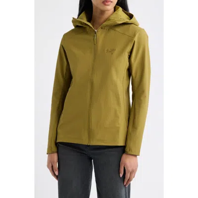 Arc'teryx Gamma Performance Hoody In Green