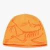 Arc'teryx Orange Wool Bird Hat In Orange