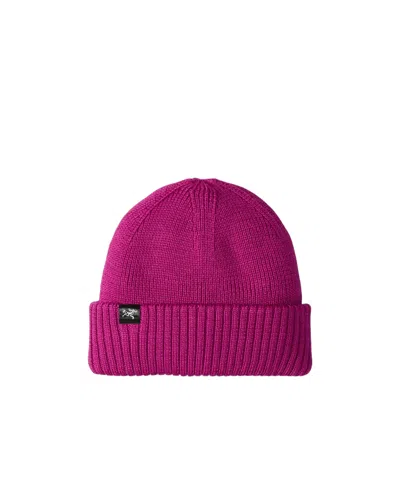 Arc'teryx Mallow Skullcap In Purple