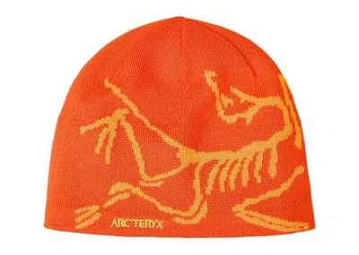 Pre-owned Arc'teryx Men's  Bird Head Toque Beanie In Solaris/edziza