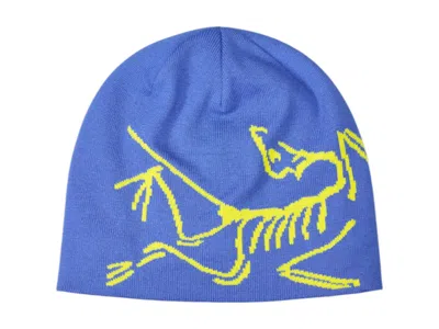 Pre-owned Arc'teryx Men's  Lightweight Bird Head Toque Beanie In Electra/euphoria