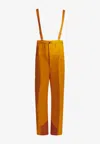 Arc'teryx Rush Bib Gore-tex Pro Technical Pants In Orange