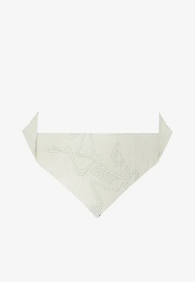 Arc'teryx Sinsolo Nylon Bandana In Neutral