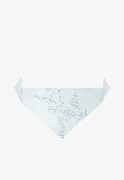 Arc'teryx Sinsolo Nylon Bandana In Blue
