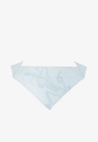 Arc'teryx Sinsolo Nylon Bandana In Light Blue