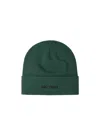 Arc'teryx Word Toque