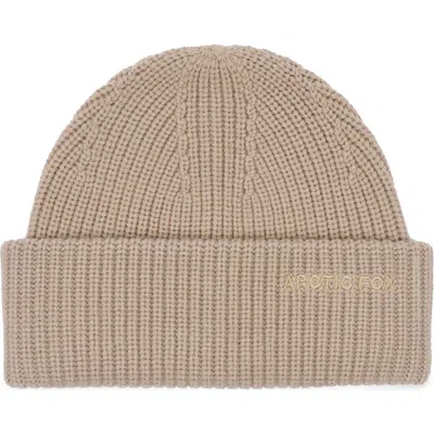 Arctic Fox & Co. Arctic Fox & Co The Embroidered Merino Wool Beanie In Soft Taupe