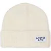 Arctic Fox & Co. Arctic Fox & Co The Mohair & Merino Wool Blend Beanie In Neutral