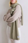 Arctic Fox & Co. Arctic Fox & Co The Recycled Bottle Scarf In Green
