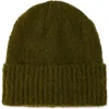 Arctic Fox & Co. Arctic Fox & Co The Reykjavik Beanie In Green