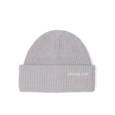 Arctic Fox & Co. Women's Embroidered Merino Wool Beanie - Grey Melange In Gray