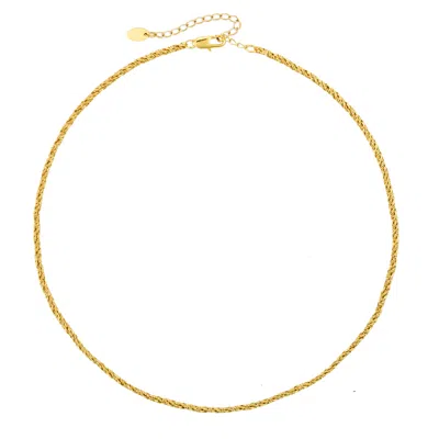 Arctic Fox & Co. Women's Gold Rope Chain Necklace