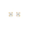 Arctic Fox & Co. Women's Gold Topaz Stud Earrings - Gaia