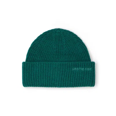 Arctic Fox & Co. Women's Green Embroidered Merino Wool Beanie - Alpine Fern