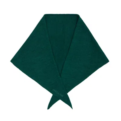 Arctic Fox & Co. Women's Green Merino Wool Triangle Scarf - Alpine Fern