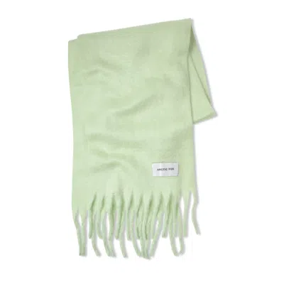 Arctic Fox & Co. Women's Green The Reykjavik Scarf In Mint