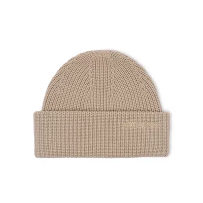 Arctic Fox & Co. Women's Neutrals Embroidered Merino Wool Beanie - Soft Taupe
