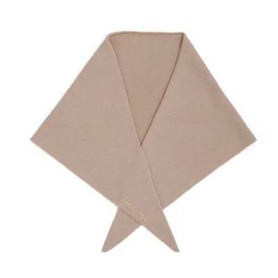Arctic Fox & Co. Women's Neutrals Merino Wool Triangle Scarf - Soft Taupe In Brown