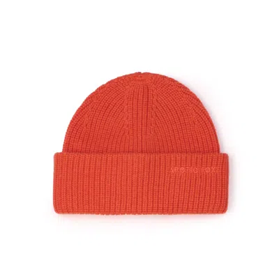 Arctic Fox & Co. Women's Orange Embroidered Merino Wool Beanie - Sunkissed Coral