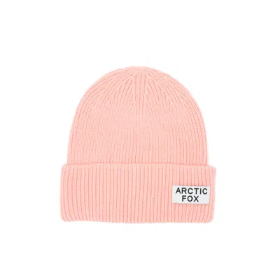Arctic Fox & Co. Women's Pink / Purple Recycled Bottle Beanie - Winter Blossom In Pink/purple