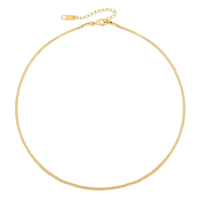 Arctic Fox & Co. Women's The Gold Box Chain Necklace