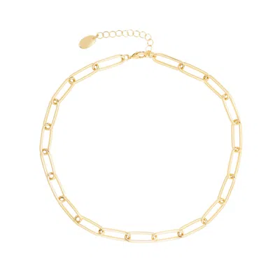 Arctic Fox & Co. Women's The Paperclip Chain Necklace - Gold